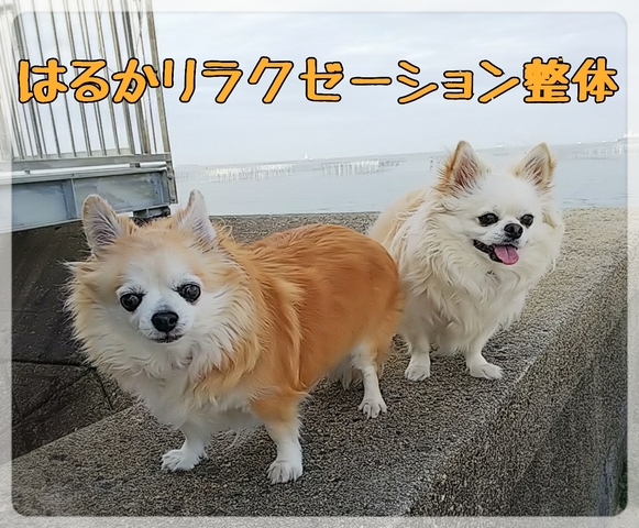 はるかリラクゼーション整体