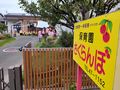 保育園さくらんぼ